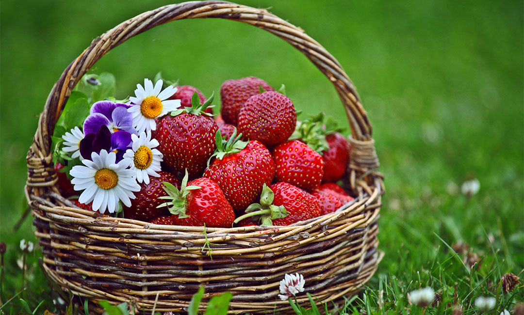 滨海新区点呀点水果电商APP开发案例