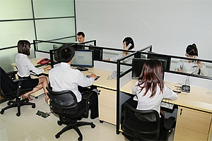 滨海新区服务团队